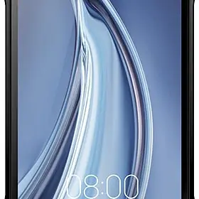Doogee S100