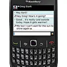 BlackBerry Curve 8530