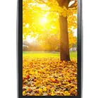 Celkon A220