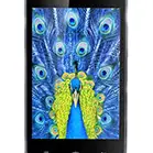 Gionee Ctrl V1