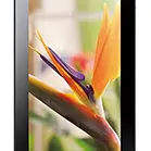 Huawei MediaPad 7 Vogue