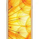 Intex Aqua Xtreme II