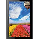 Intex Aqua Y2 Remote