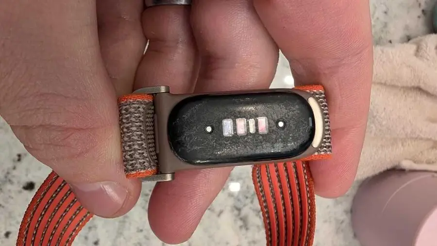 Fitbit Air Terancam Kerusakan Akibat Semprotan Serangga yang Tak Terduga