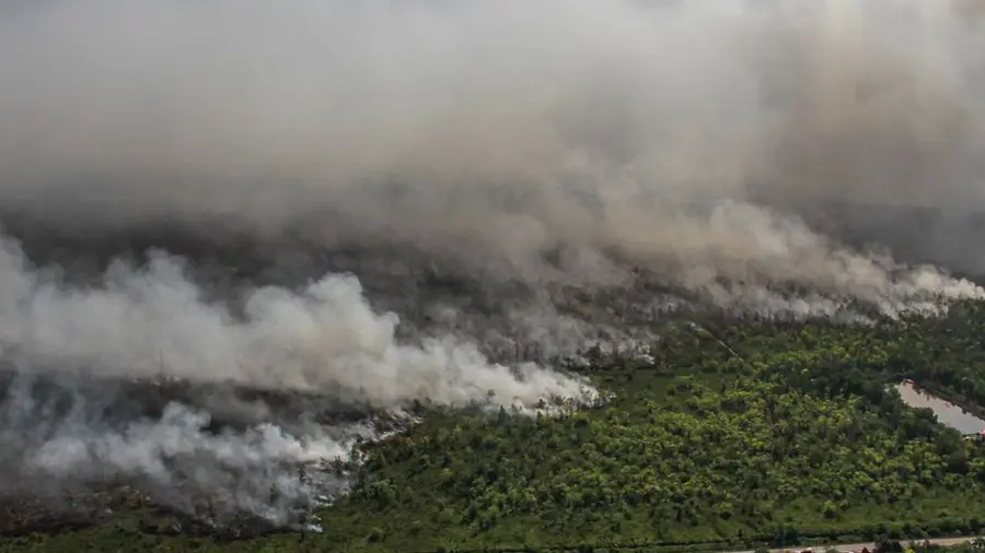 Kalimantan Forest Fires Spark Social Media Outcry