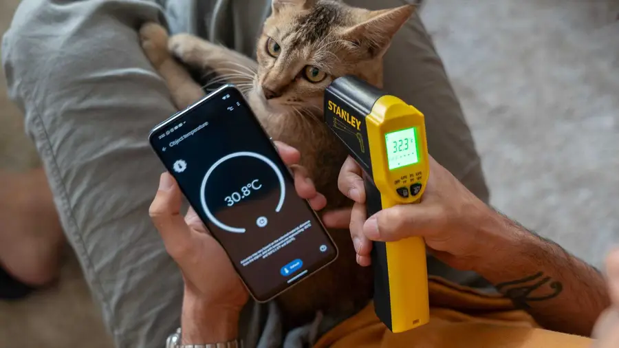 Sensor Ponsel yang Paling Sering Digunakan Menurut Survei