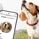 Fitur Baru Life360 untuk Perawatan Hewan Peliharaan Keluarga