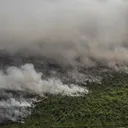 Kalimantan Terkena Kebakaran Hutan, Warganet Berdoa
