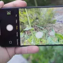 Kelemahan Kamera Google Pixel 11 Dibandingkan Redmi Note 17 Pro Max