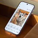 Masalah Bug di Google Photos Mengganggu Pengguna