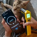 Sensor Ponsel yang Paling Sering Digunakan Menurut Survei