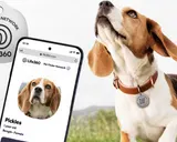 Life360 Introduces New Features for Pet Care Management