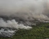 Kalimantan Forest Fires Spark Social Media Outcry