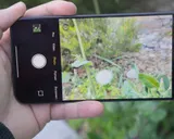Kelemahan Kamera Google Pixel 11 Dibandingkan Redmi Note 17 Pro Max