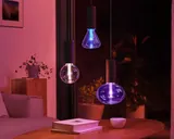 Philips Hue Introduces Long-Awaited Backup Feature for Users