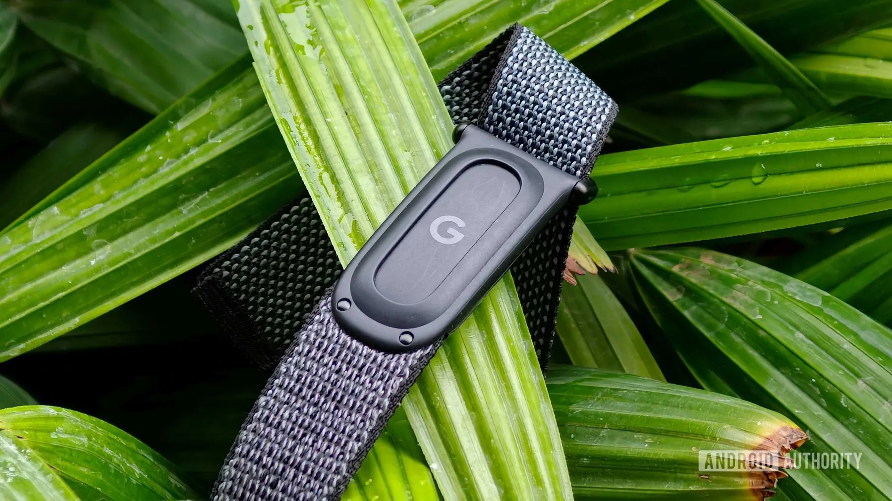 How the Fitbit Air Changed My View on Fitness Trackers