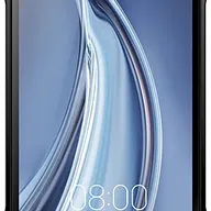 Doogee S100
