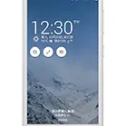 Asus Pegasus
