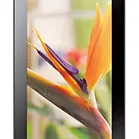 Huawei MediaPad 7 Youth2