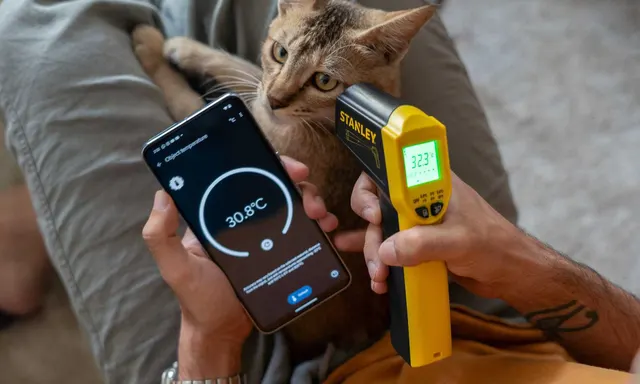 Google Hapus Fitur Termometer Pixel, Banyak yang Kecewa