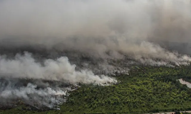 Kalimantan's Burning Crisis: Schoolchildren Brave Thick Smoke