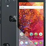 Cat S61
