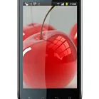 Celkon A19