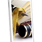 Celkon A60