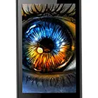Celkon Campus Colt A401