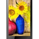 Karbonn Titanium S99